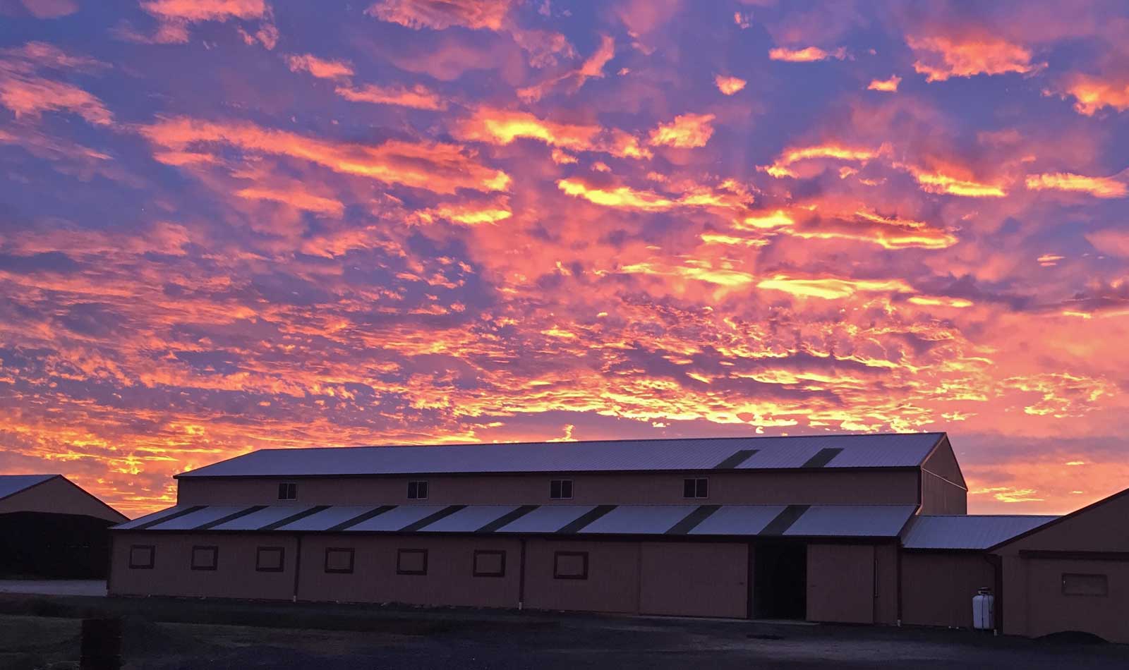 home about us our story happy customers memories services stallions our