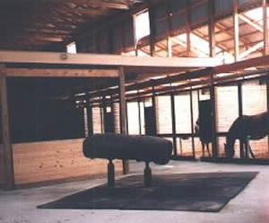 STALLION COLLECTION AND SEMEN EVALUATION