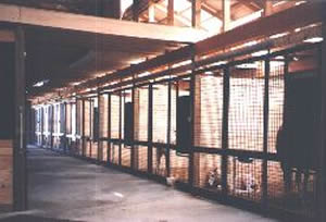 MARE CARE AND BOARDING