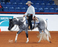 PFW-11-9919-1106-BALMES