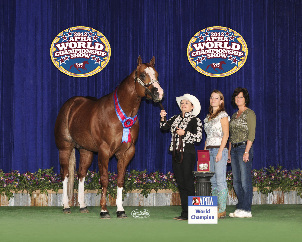 FG Totally A Charmer APHA Stallion